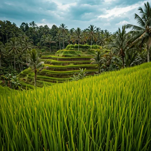 Paying like a local in Indonésie with QRIS QR payments